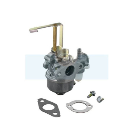 Carburateur pour moteur Briggs & Stratton (698558)