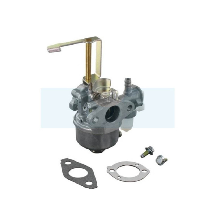 Carburateur pour moteur Briggs & Stratton (698558)
