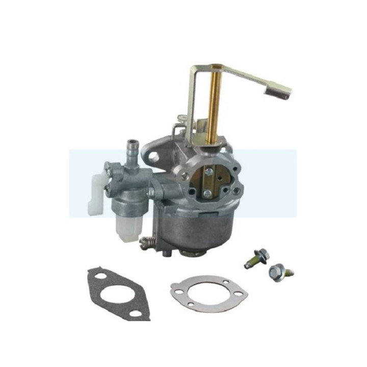 Carburateur pour moteur Briggs & Stratton (698558)