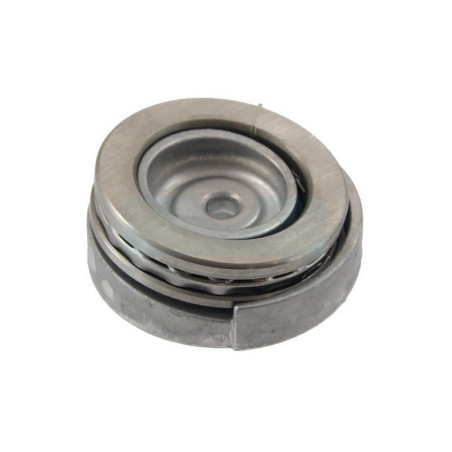 Disque En Nutation 8,1" pour nettoyeur Stihl (47757608700)