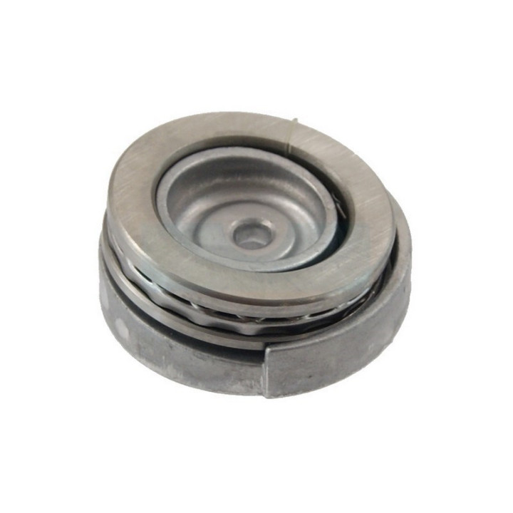 Disque En Nutation 8,1" pour nettoyeur Stihl (47757608700)