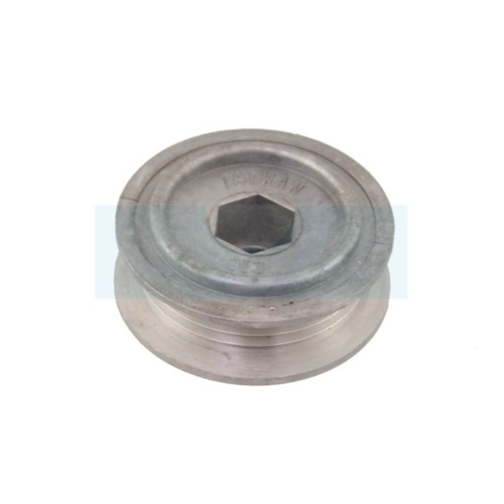Poulie pour tondeuse Snapper (2451)