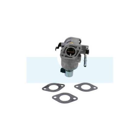 Carburateur pour moteur Briggs & Stratton (699807)