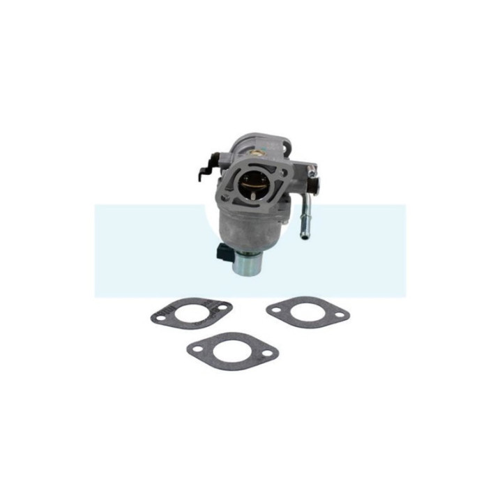 Carburateur pour moteur Briggs & Stratton (699807)