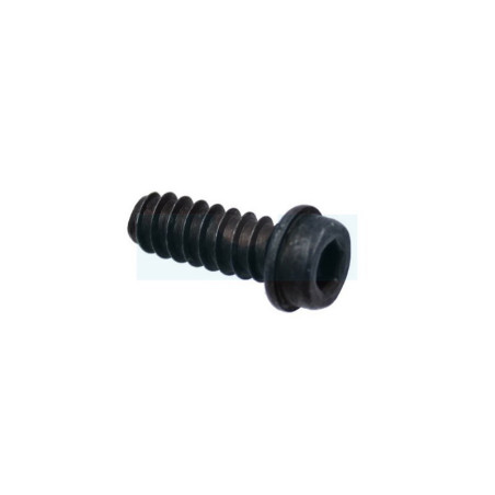 Vis ihsct pour tronçonneuse Mc Culloch (503210270)