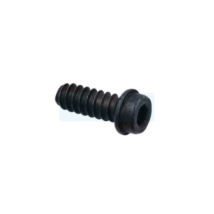 Vis ihsct pour tronçonneuse Mc Culloch (503210270)