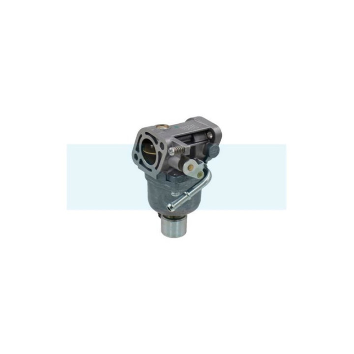 Carburateur pour moteur Briggs & Stratton (699807)