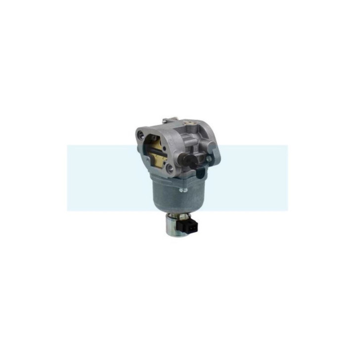 Carburateur pour moteur Briggs & Stratton (699807)