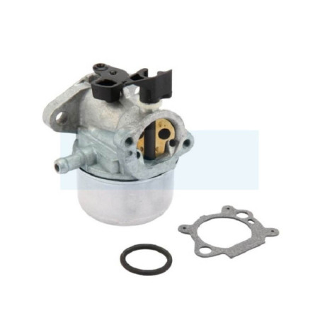 Carburateur pour moteur Briggs & Stratton (790978)