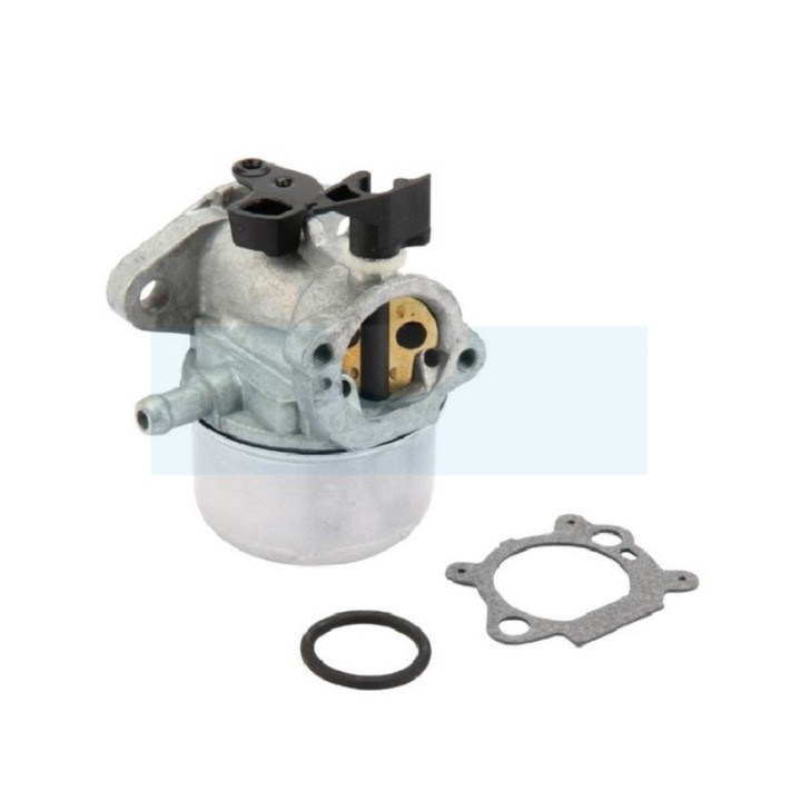 Carburateur pour moteur Briggs & Stratton (790978)