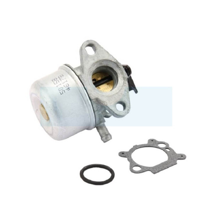 Carburateur pour moteur Briggs & Stratton (790978)