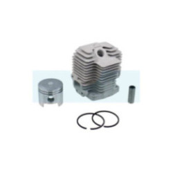Kit cylindre piston pour moteur Kawasaki (110052122)