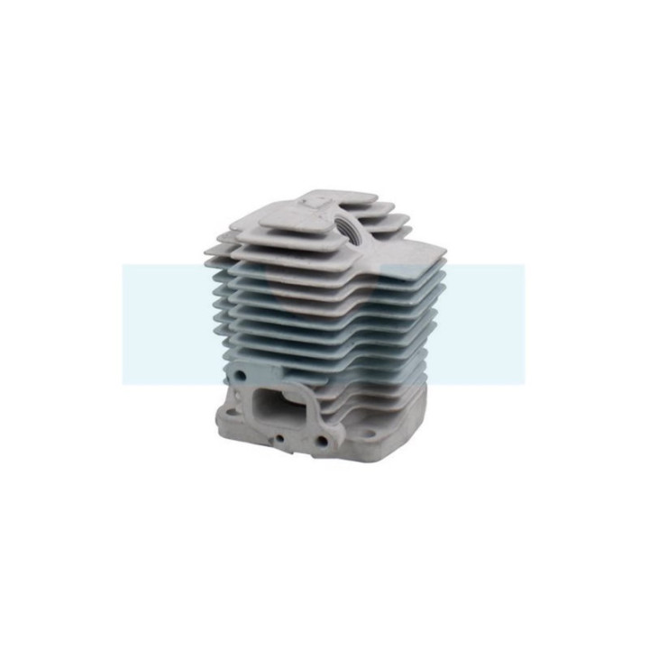 Kit cylindre piston pour moteur Kawasaki (110052122)