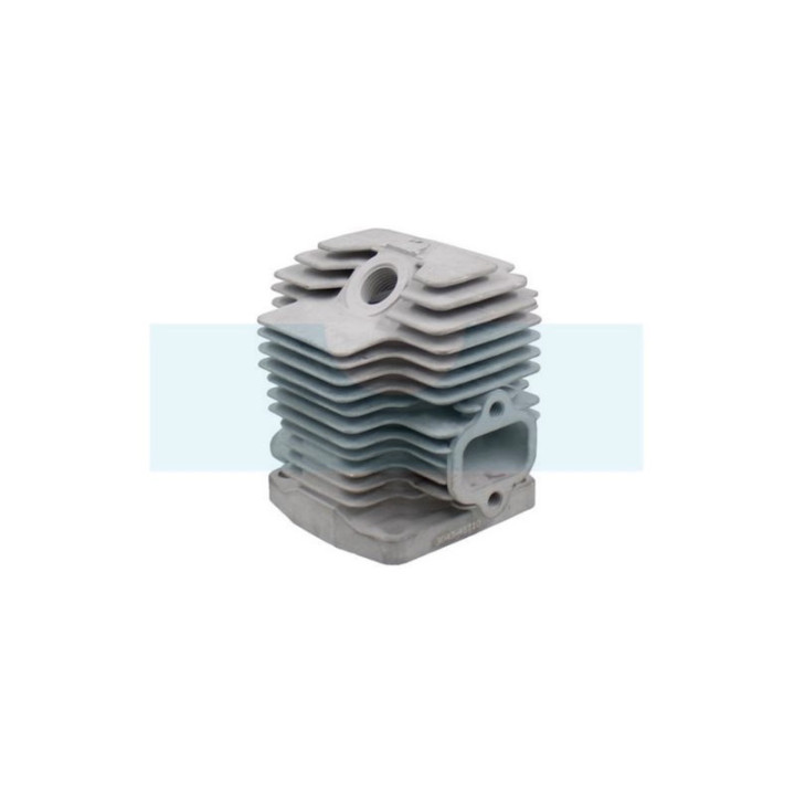Kit cylindre piston pour moteur Kawasaki (110052122)