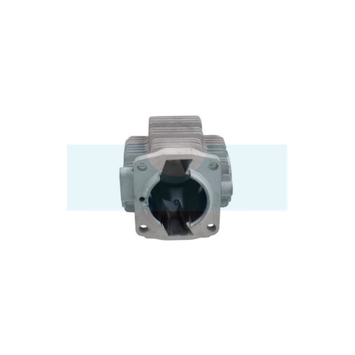 Kit cylindre piston pour moteur Kawasaki (110052122)