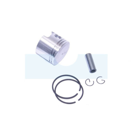 Piston pour moteur Kawasaki (130012140)
