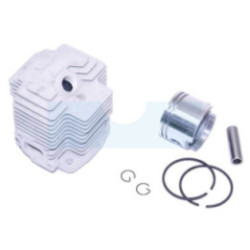 Kit cylindre piston pour moteur Kawasaki (110052123)