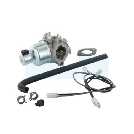 Carburateur pour moteur Briggs & Stratton (791889)