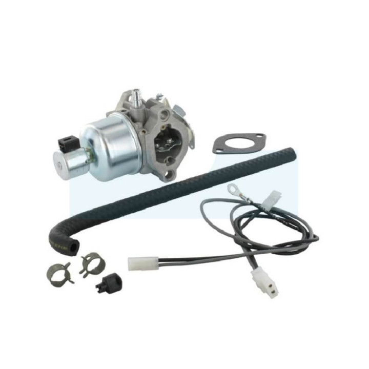 Carburateur pour moteur Briggs & Stratton (791889)