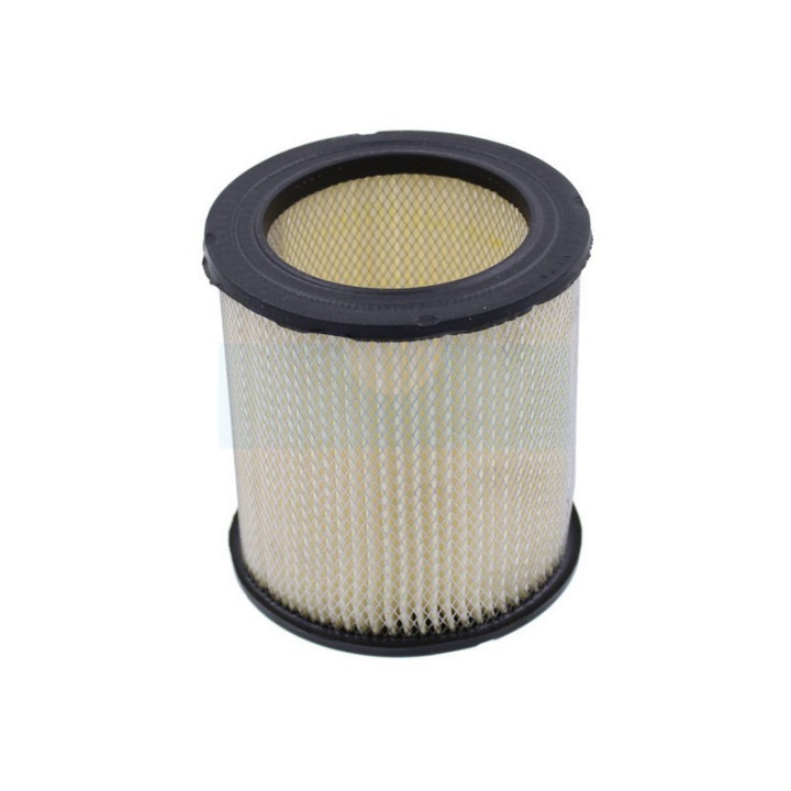 Filtre à air pour moteur Tecumseh (32355)