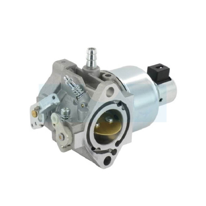 Carburateur pour moteur Briggs & Stratton (791889)