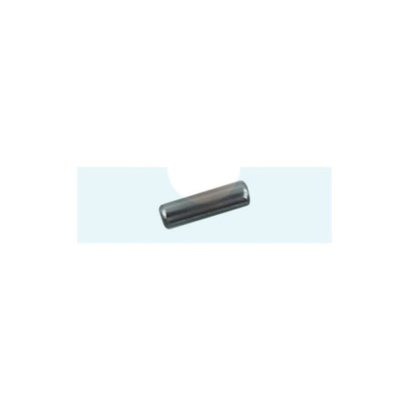 Goupille pour tronçonneuse Echo (9305030098)