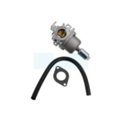 Carburateur pour moteur Briggs & Stratton (794572)
