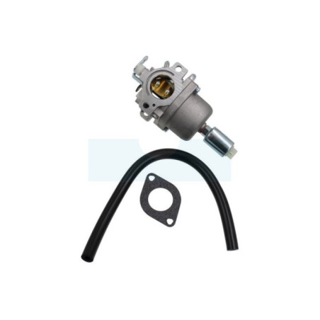 Carburateur pour moteur Briggs & Stratton (794572)