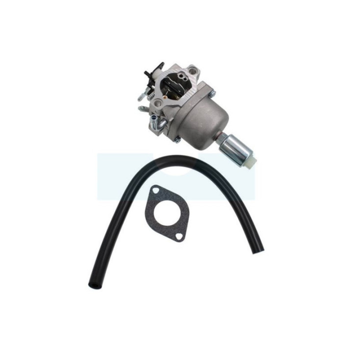 Carburateur pour moteur Briggs & Stratton (794572)