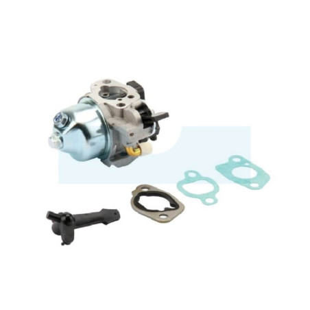 Carburateur pour moteur Briggs & Stratton (797283)