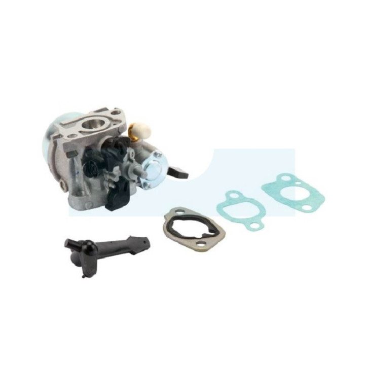 Carburateur pour moteur Briggs & Stratton (797283)