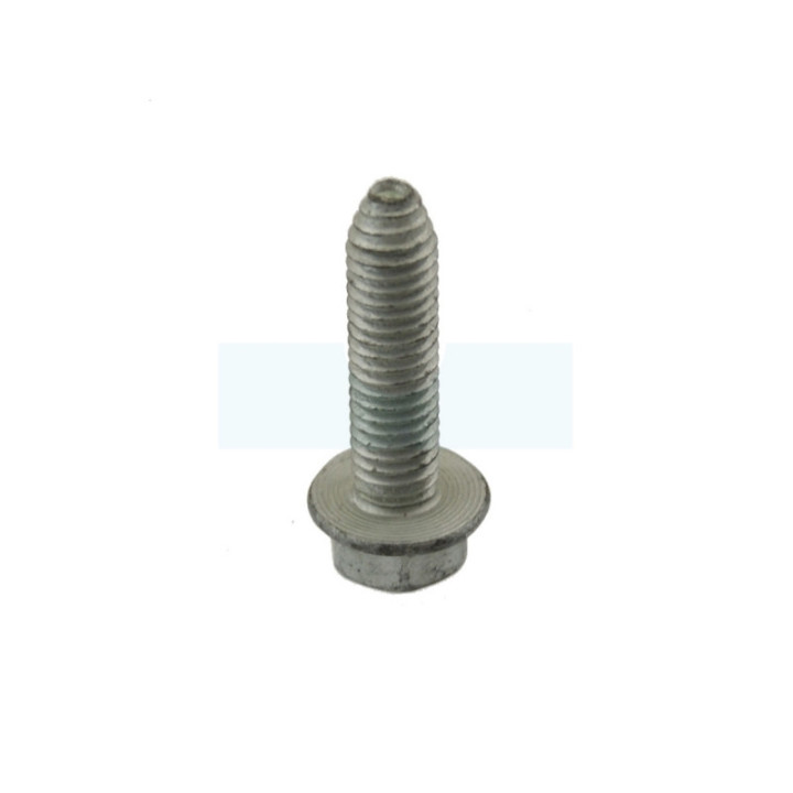 Vis pour tracteur tondeuse Mc Culloch (817060624)
