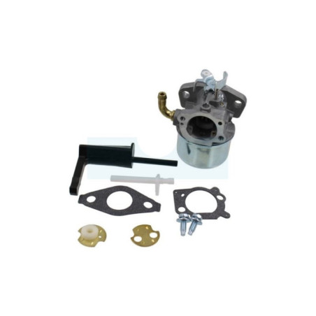 Carburateur pour moteur Briggs & Stratton (798653)