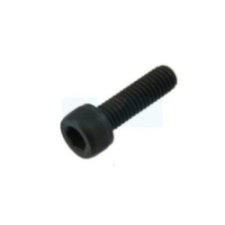 Vis ihscm pour tronçonneuse / taille-haie / débroussailleuse / fraise à neige / tracteur tondeuse Husqvarna (725537055)
