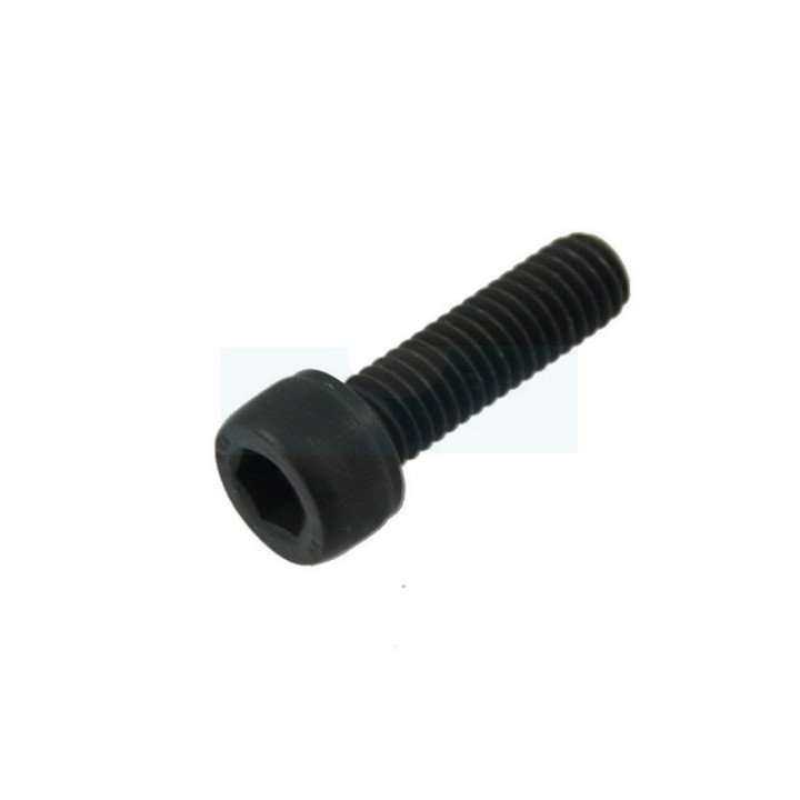 Vis ihscm pour tronçonneuse / taille-haie / débroussailleuse / fraise à neige / tracteur tondeuse Husqvarna (725537055)