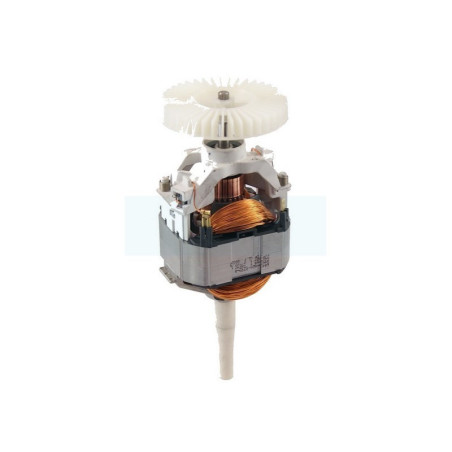 Moteur électrique 220/230W pour débroussailleuse Stihl (64406000231)