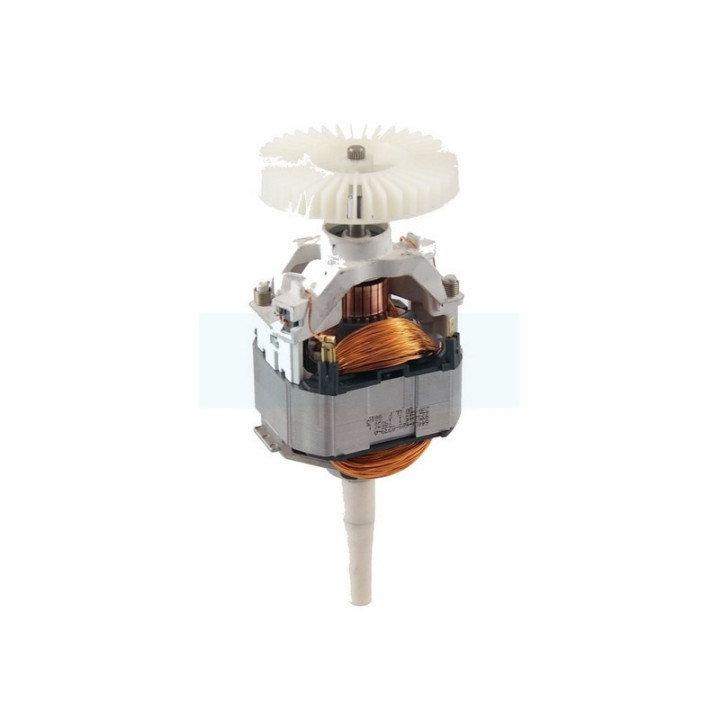 Moteur électrique 220/230W pour débroussailleuse Stihl (64406000231)