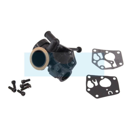 Carburateur pour moteur Briggs & Stratton (494407)