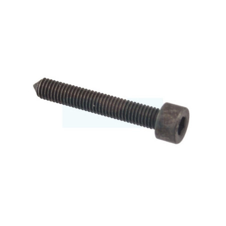 Vis ihscm pour tronçonneuse Husqvarna (503200870)