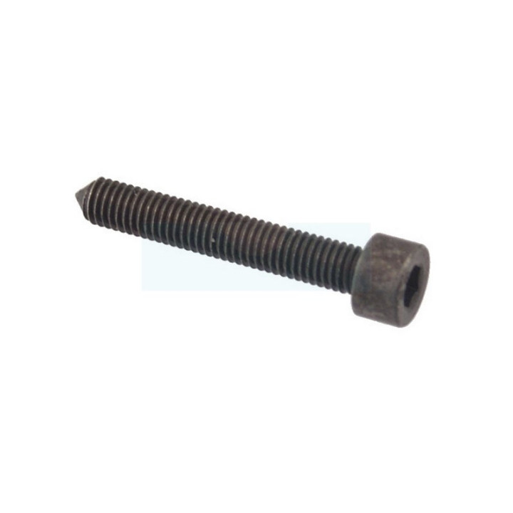 Vis ihscm pour tronçonneuse Husqvarna (503200870)