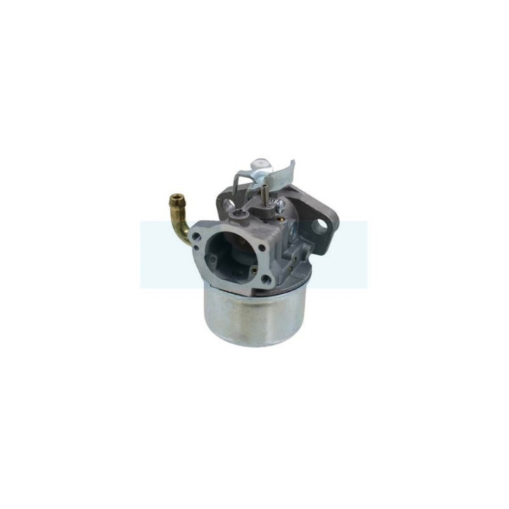 Carburateur pour moteur Briggs & Stratton (798653)