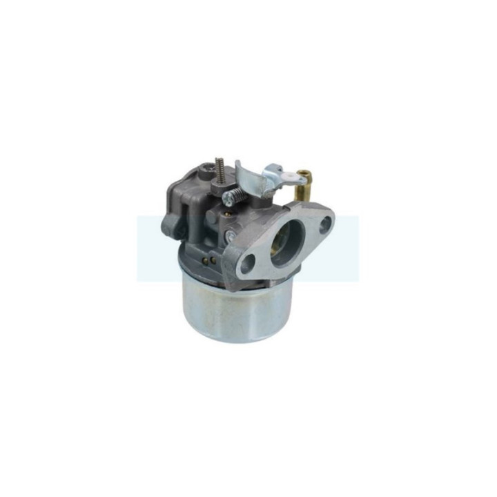 Carburateur pour moteur Briggs & Stratton (798653)
