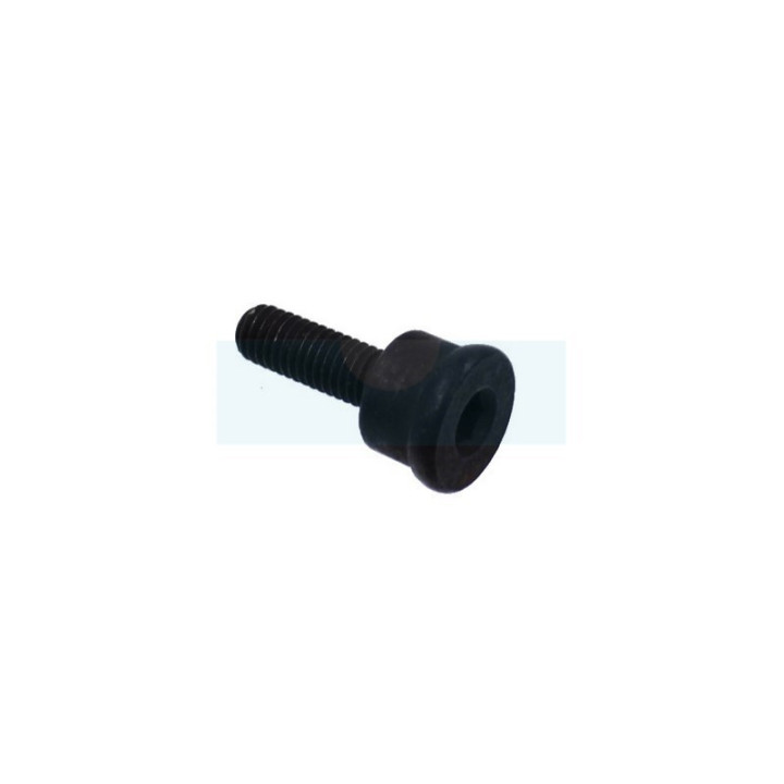 Vis pour tronçonneuse Jonsered (503893003)