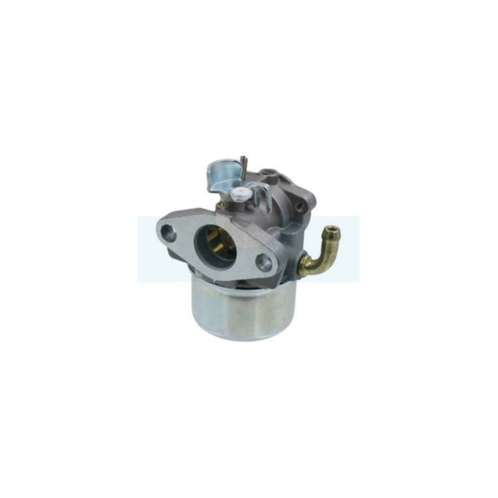 Carburateur pour moteur Briggs & Stratton (798653)