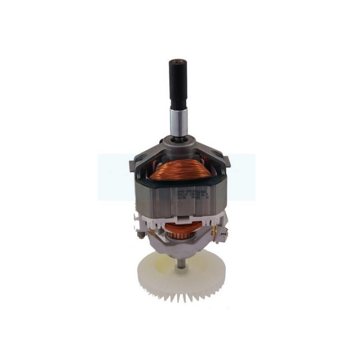 Moteur électrique 230v pour débroussailleuse Stihl (48096000202)