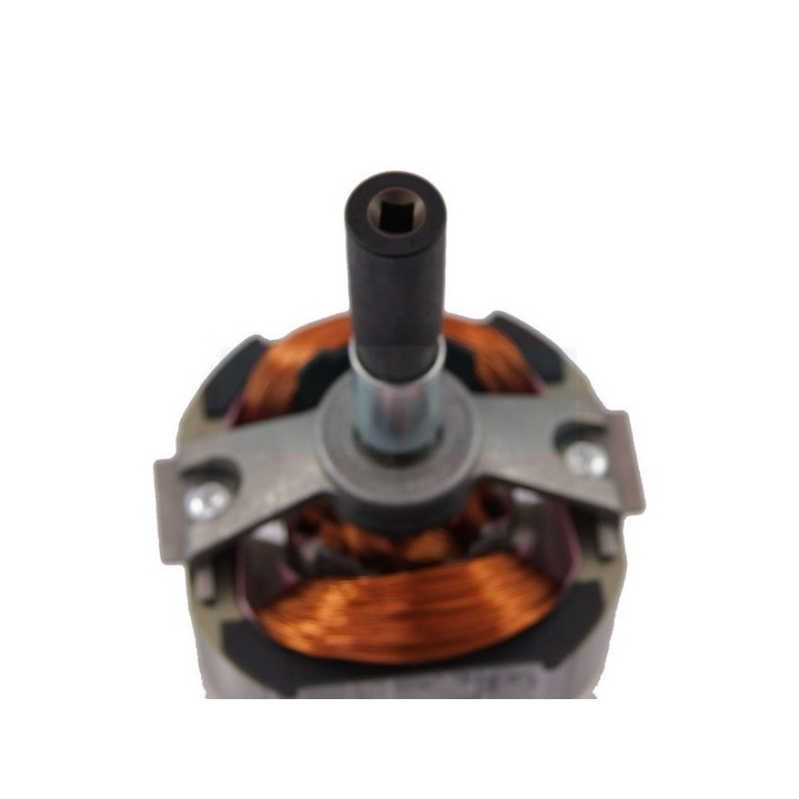 Moteur électrique 230v pour débroussailleuse Stihl (48096000202)