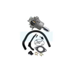 Carburateur pour moteur Briggs & Stratton (799727)
