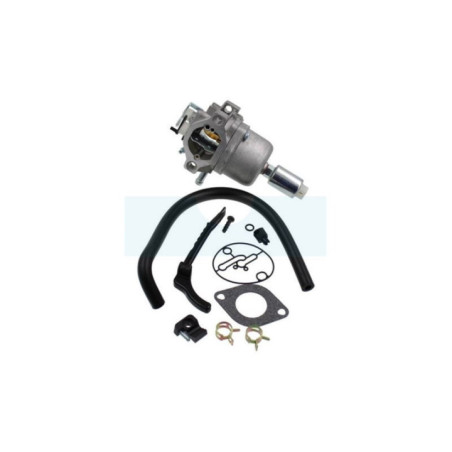 Carburateur pour moteur Briggs & Stratton (799727)