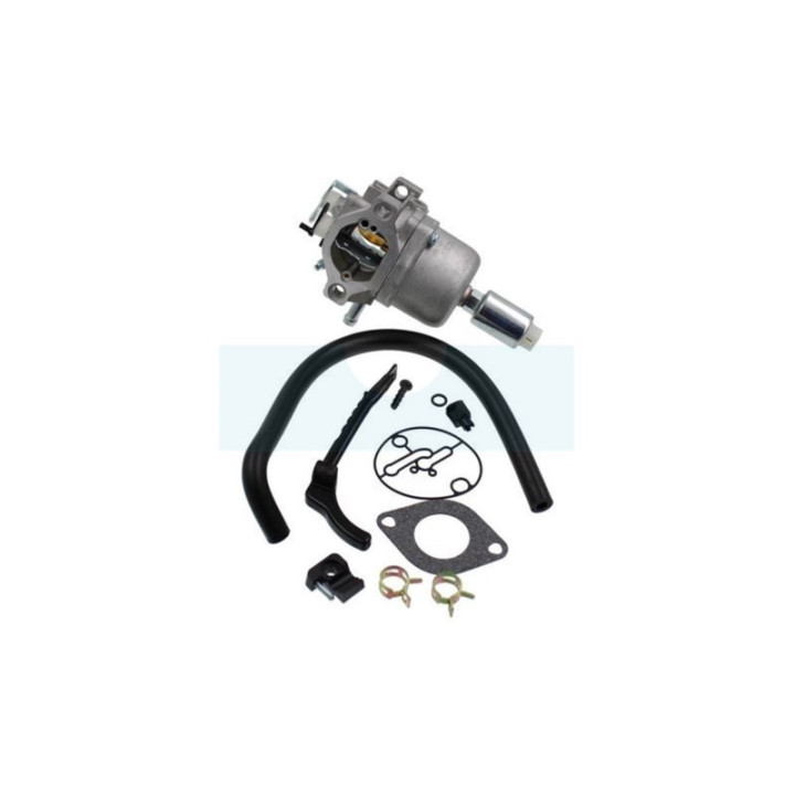 Carburateur pour moteur Briggs & Stratton (799727)