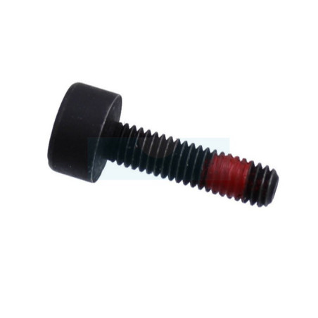 Vis ihscm pour tronçonneuse Partner (503202616)